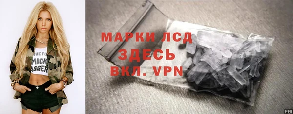 индика Богородск