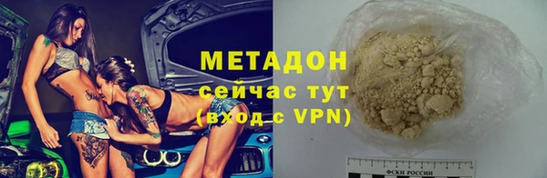 индика Богородск