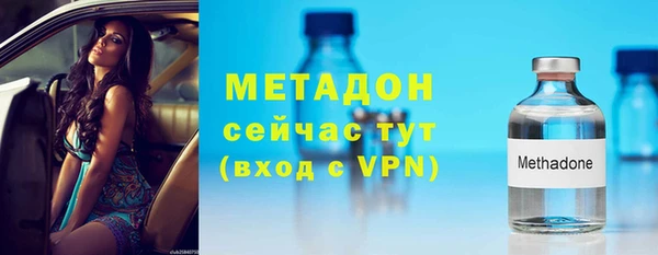 индика Богородск