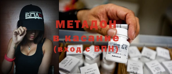 индика Богородск