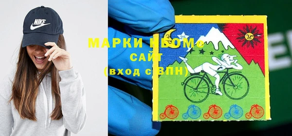бошки Пересвет