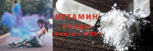 индика Богородск