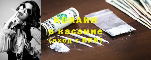 индика Богородск